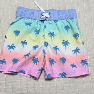 Cat & Jack Boys 3T Swimsuit | Rainbow | Palm Trees